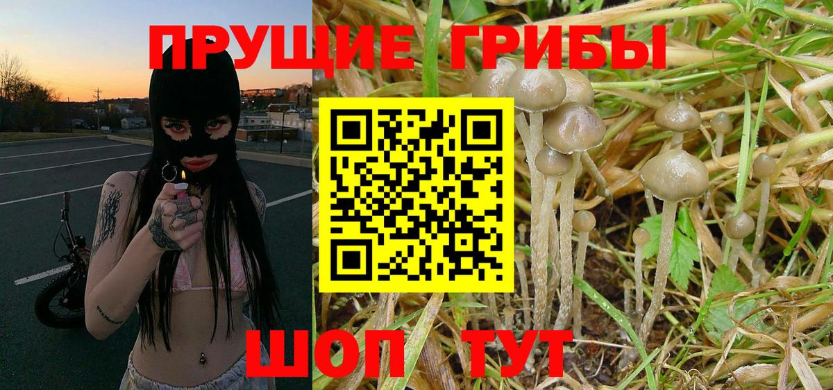 Киреевск  Галлюциногенные грибы MAGIC MUSHROOMS  Галлюциногенные грибы Cubensis  Вход с VPN 